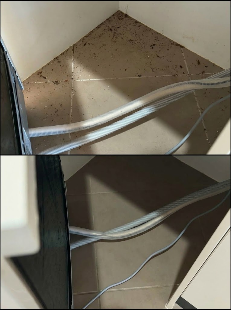 Spring clean – view 8